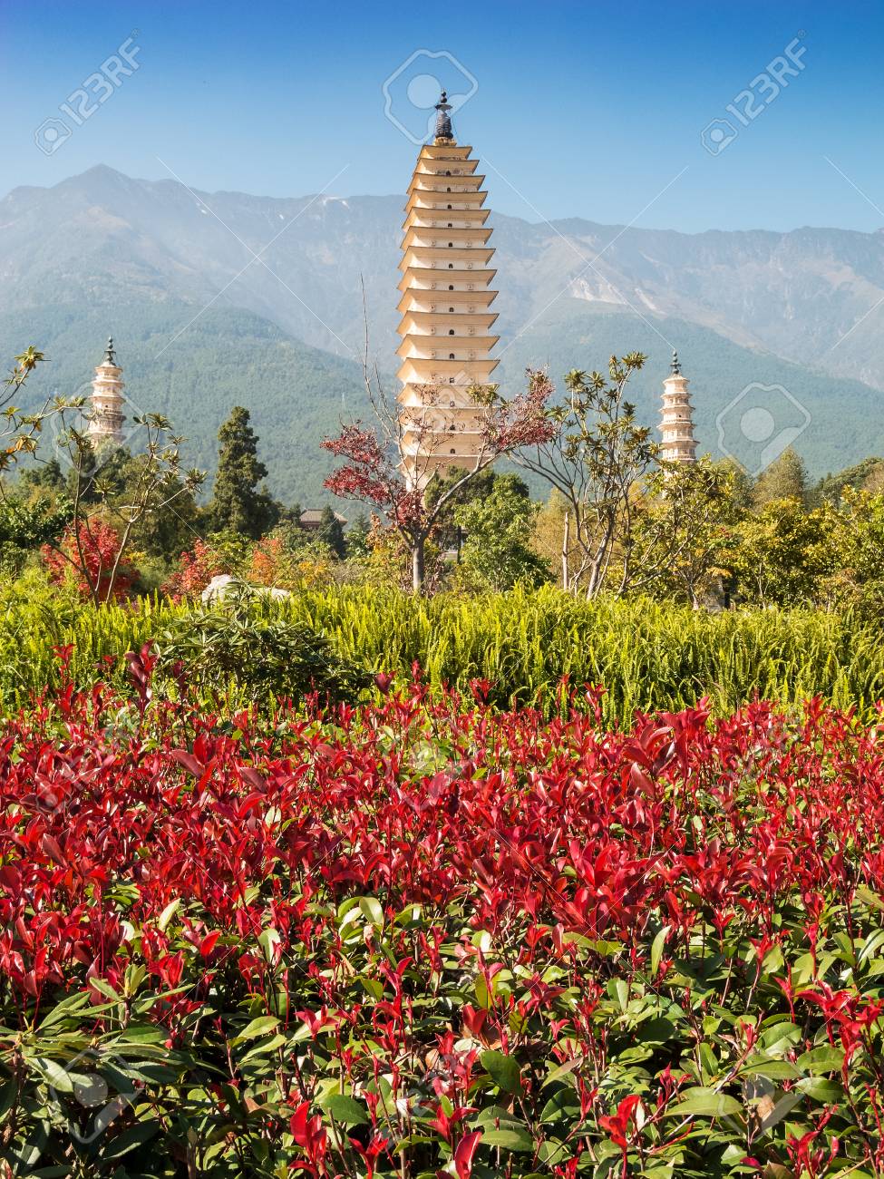 etiam-dictum-ipsum-a-felis