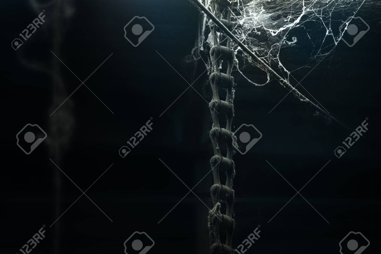 etiam-dictum-ipsum-a-felis