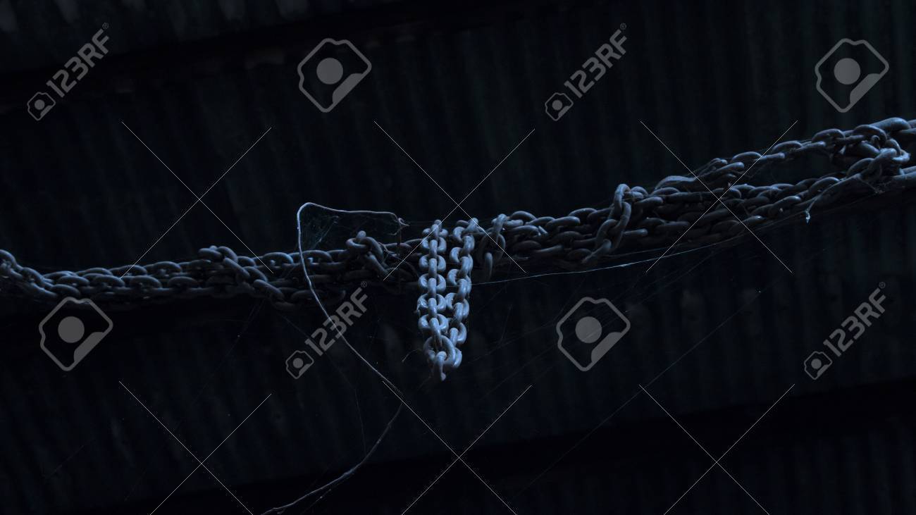 etiam-dictum-ipsum-a-felis