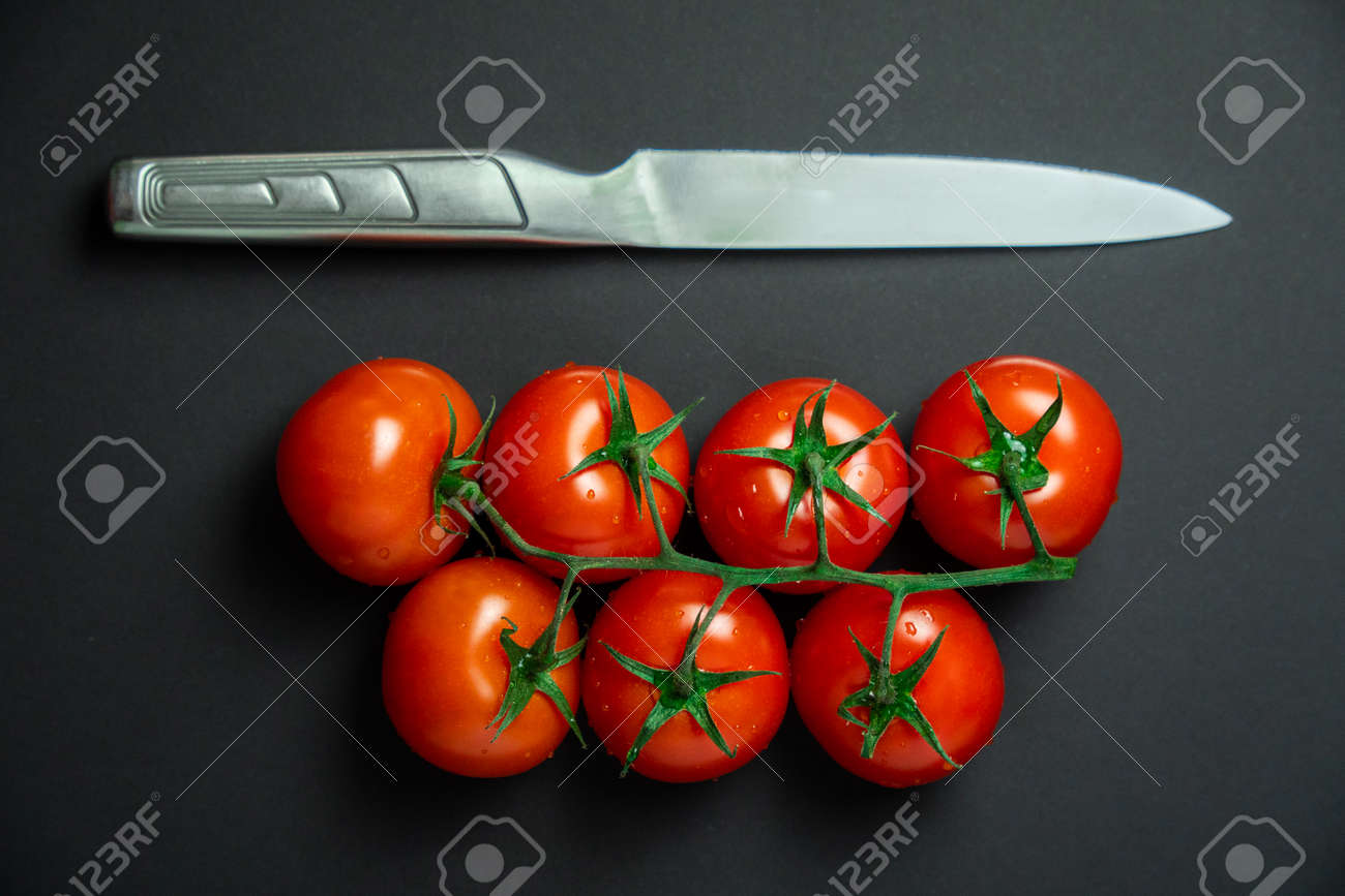 etiam-dictum-ipsum-a-felis