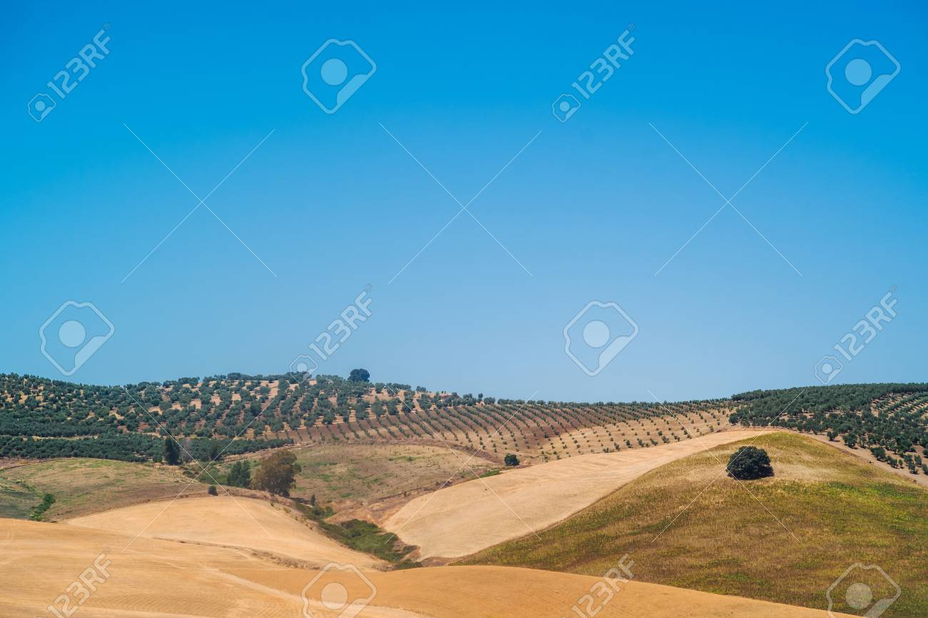 maravillosos paisajes relajantes en