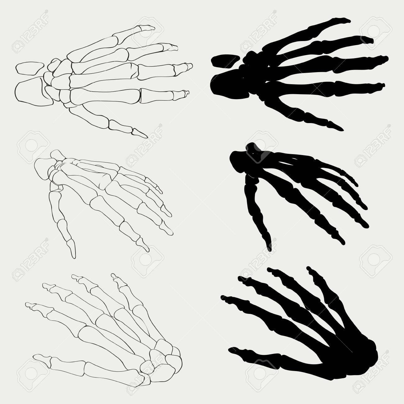 人間の手の骨の解剖学は分離ベクトル図です 医療やハロウィーン デザインの黒と白の手骨 人間の手の骨スケルトン シルエット コレクションを設定します 現実的な手は Eps 10 骨します のイラスト素材 ベクタ Image 人間の手の骨の解剖学は分離ベクトル図です 医療やハロウィーン デザインの黒と白の手骨 人間の手の骨スケルトン シルエット コレクションを設定します 現実的な手は Eps 10 骨します のイラスト素材 ベクタ Image