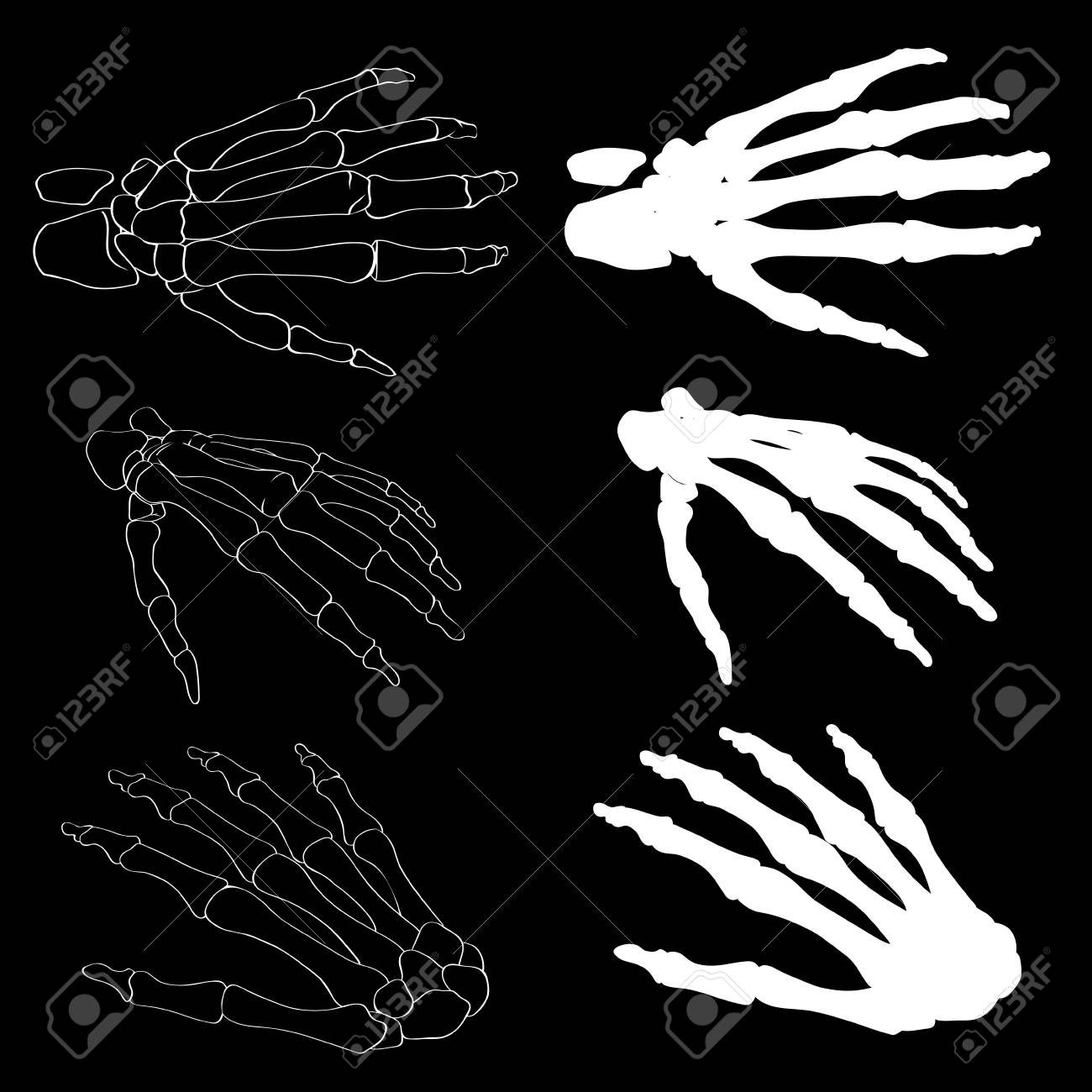 人間の手の骨の解剖学は分離ベクトル図です 医療やハロウィーン デザインの黒と白の手骨 人間の手の骨スケルトン シルエット コレクションを設定します 現実的な手は Eps 10 骨します のイラスト素材 ベクタ Image 人間の手の骨の解剖学は分離ベクトル図です 医療やハロウィーン デザインの黒と白の手骨 人間の手の骨スケルトン シルエット コレクションを設定します 現実的な手は Eps 10 骨します のイラスト素材 ベクタ Image