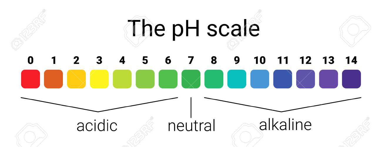 ph scale. infographic acid-base balance. scale for chemical analysis acid base. vector illustration. colorful graph for test - 88834402 ph scale. infographic acid-base balance. scale for chemical analysis acid base. vector illustration. colorful graph for test - 88834402