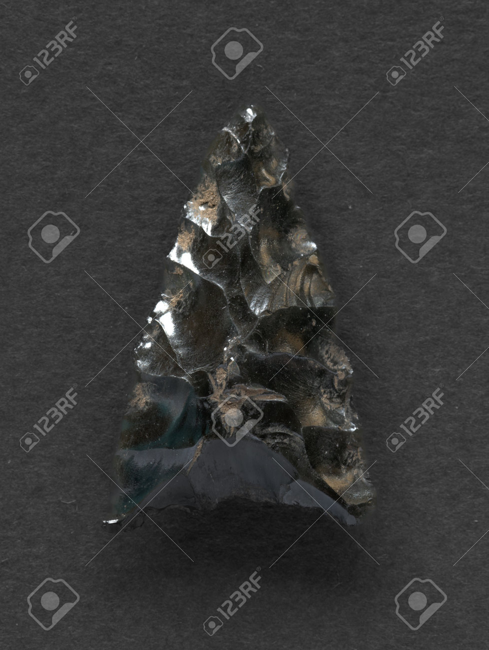 etiam-dictum-ipsum-a-felis