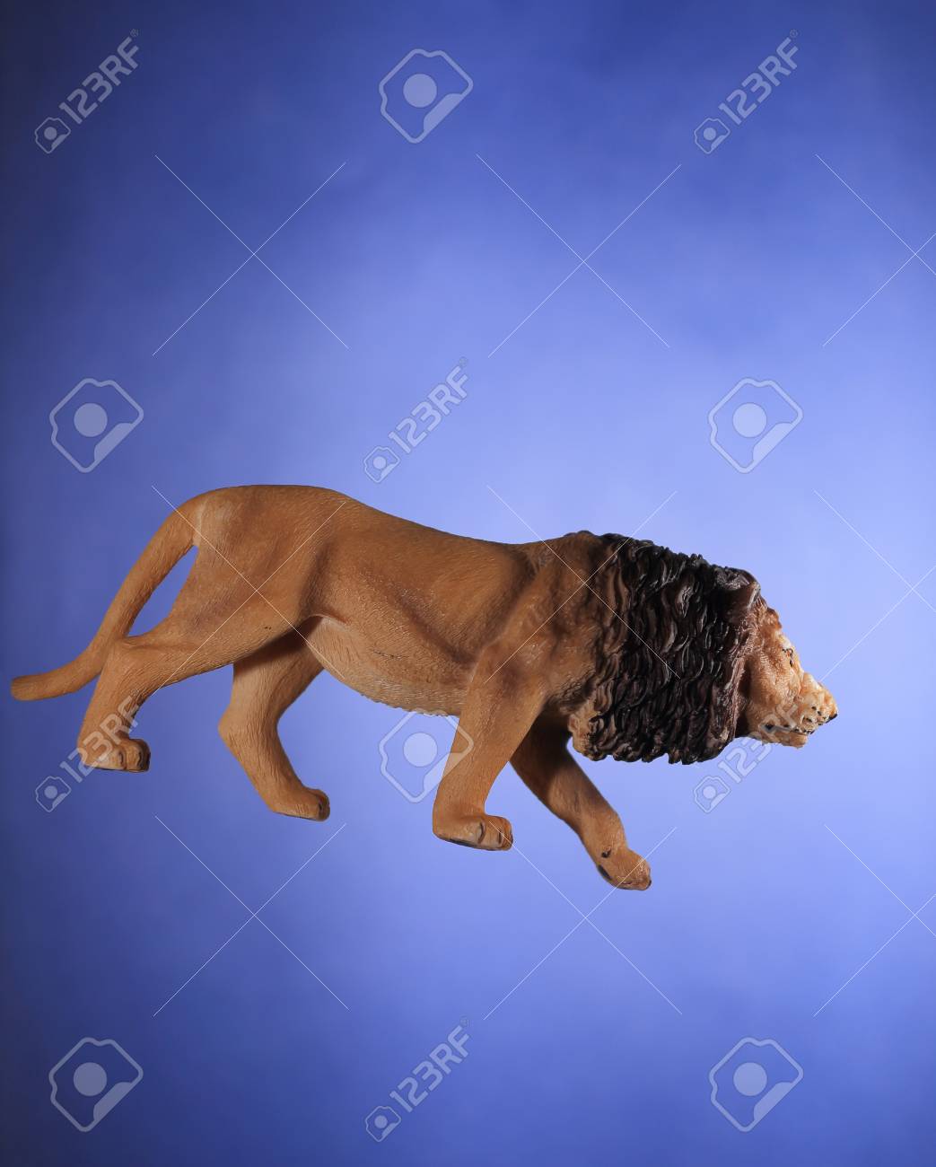 lion lion toy videos
