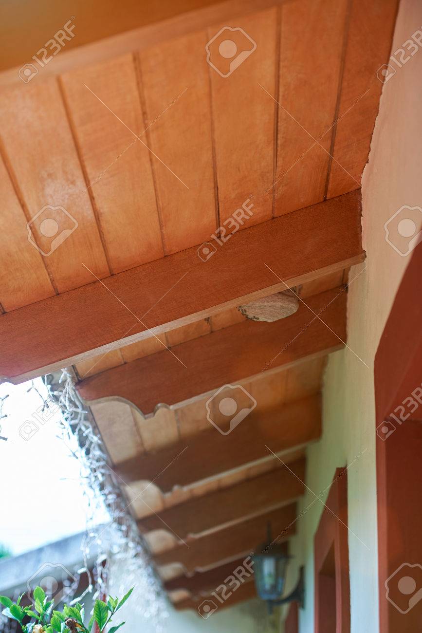 Haus Holzdach Mit Wespennest Gefahrliche Nest Der Insekten