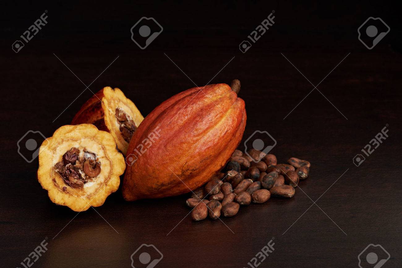 Cacao farmer harvest fruits background. Natural cocoa fruit - 81603621 Cacao farmer harvest fruits background. Natural cocoa fruit - 81603621