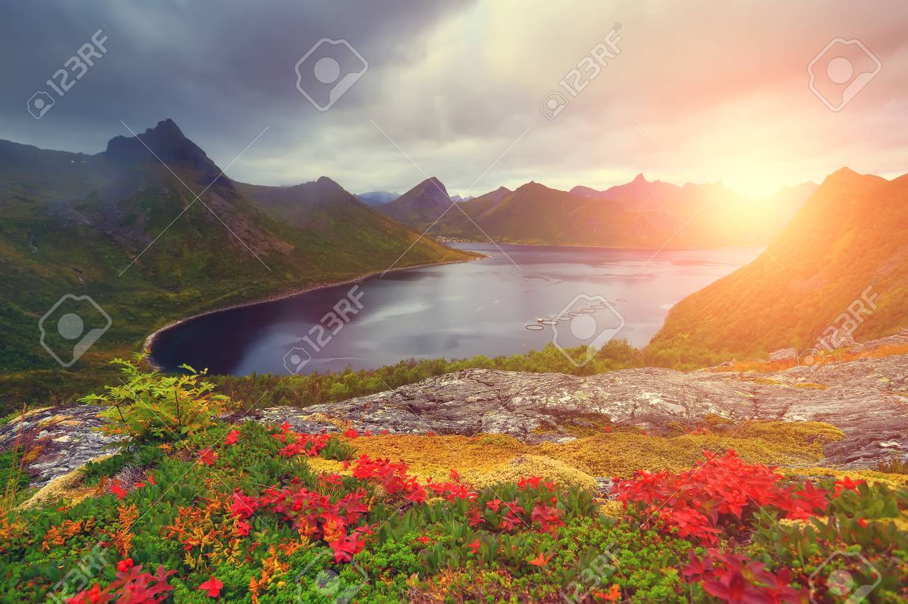 autumn nature colorful foliage on mountain hills rising sun nature colorful