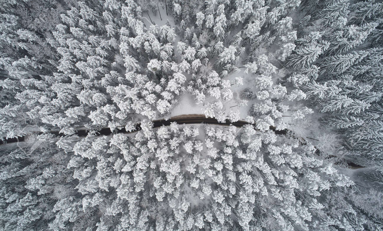 Rural road in winter forest background above top view - 172044753 Rural road in winter forest background above top view - 172044753