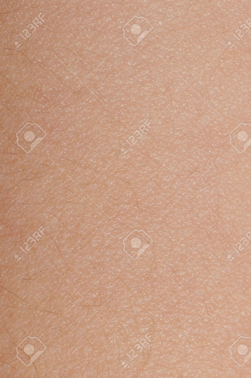 Brown skin texture with tiny hair background close up view - 171991120 Brown skin texture with tiny hair background close up view - 171991120