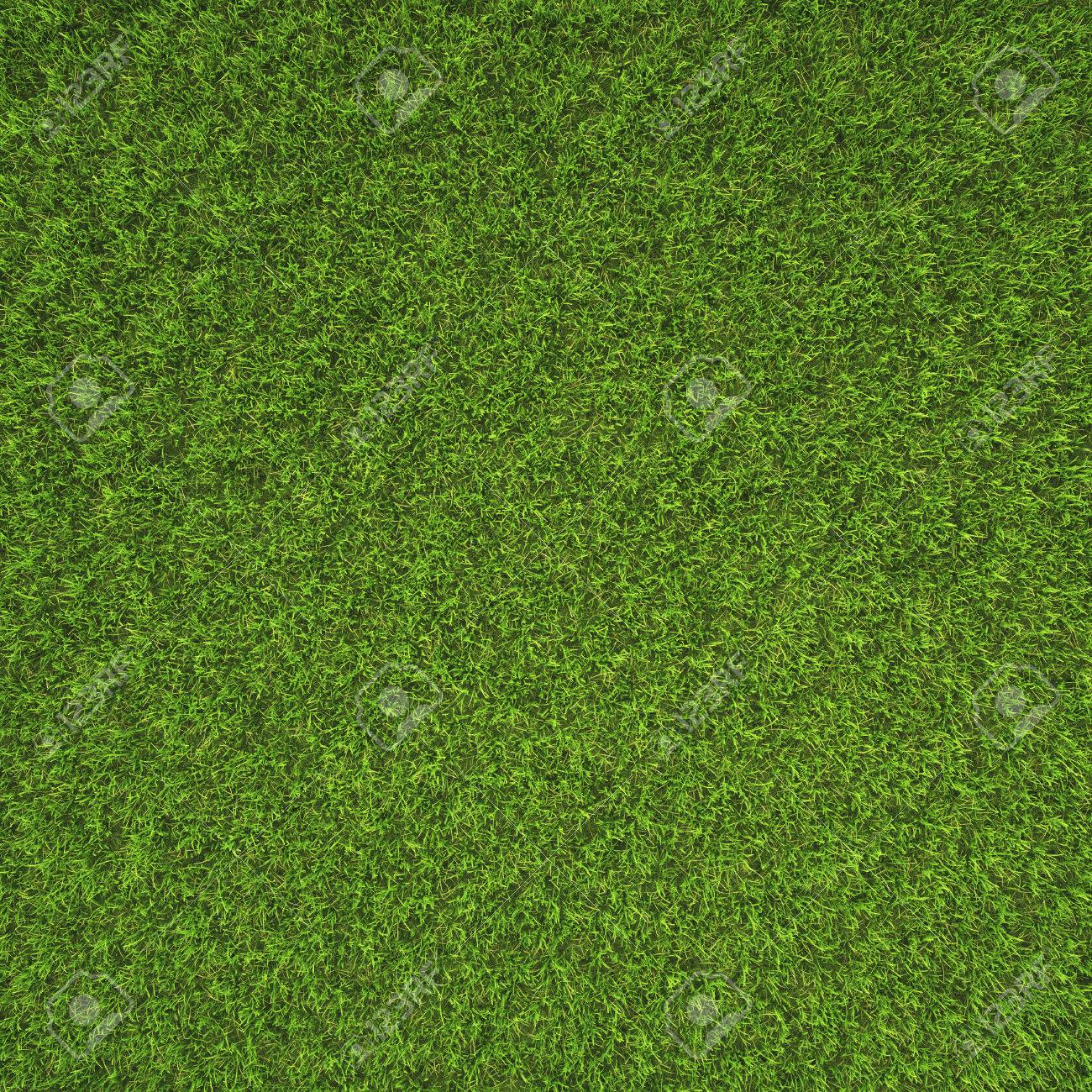 Beautiful Green Grass Texture From Golf Course Stock Photo, Picture And  Royalty Free Image. Image 42610946.
