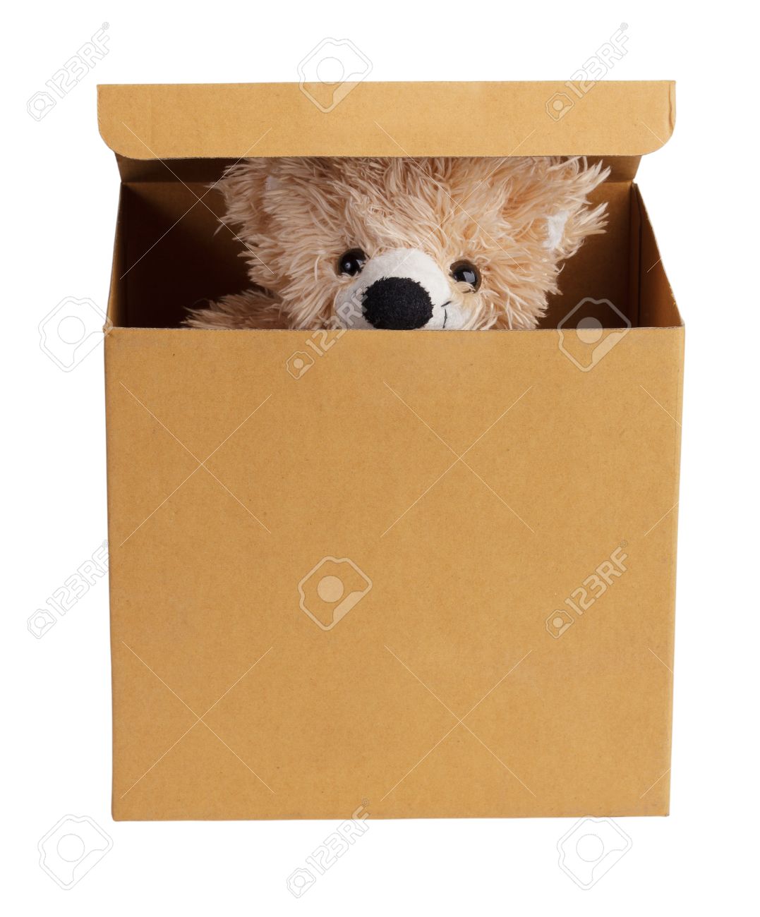box of teddy bears
