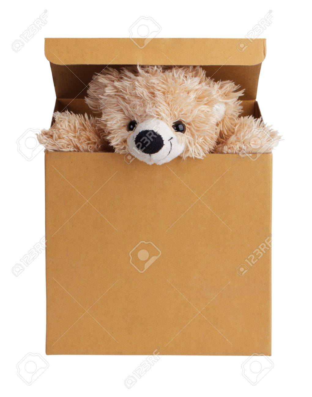 teddy bear box