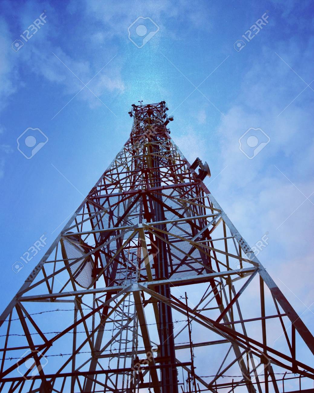 etiam-dictum-ipsum-a-felis