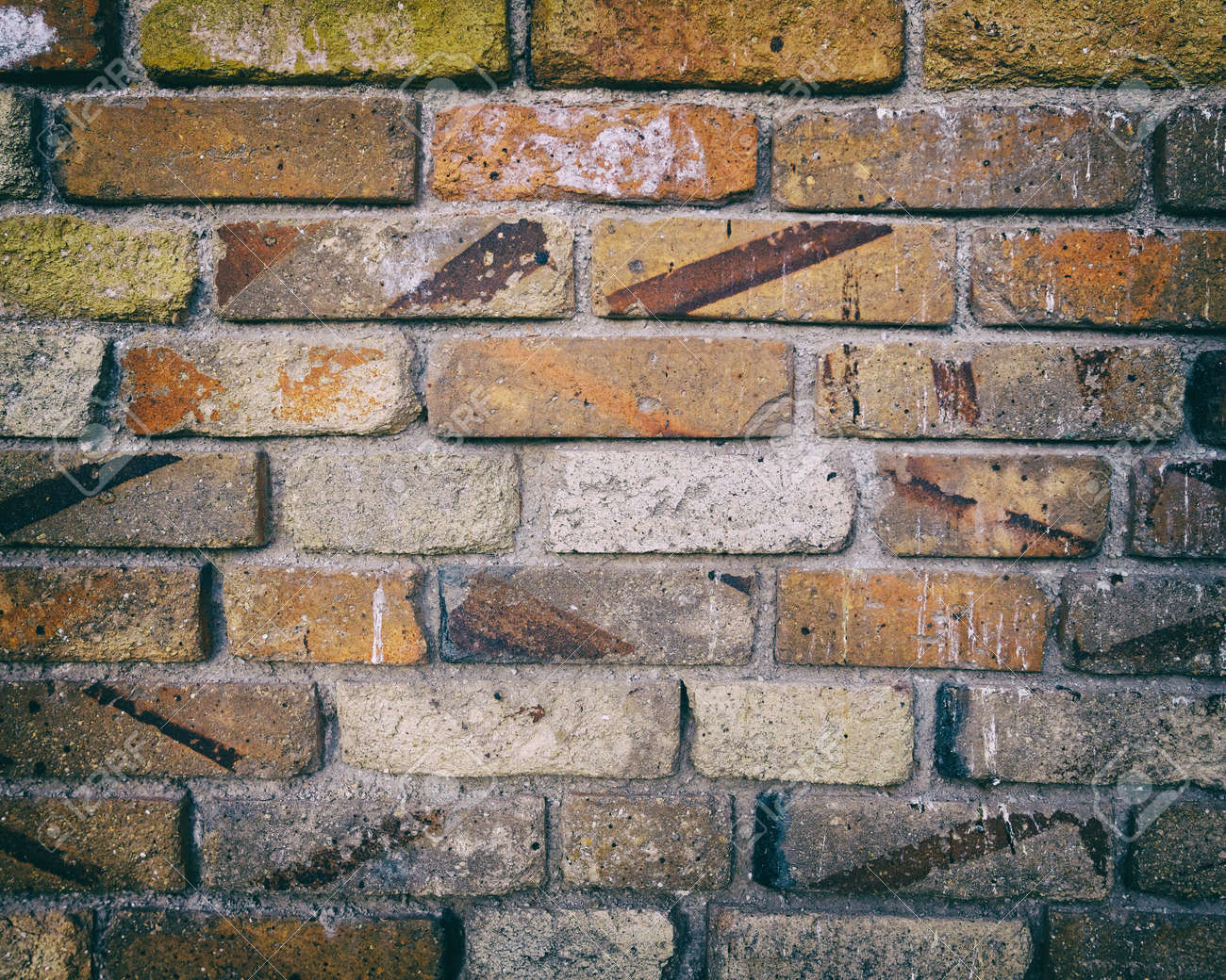 etiam-dictum-ipsum-a-felis