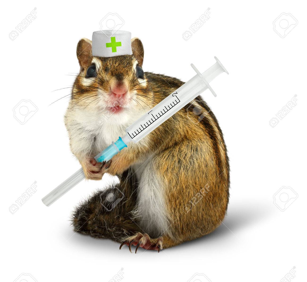 46100961-vet-konzept-lustiges-eichh%C3%B6rnchen-mit-spritze-und-doktor-hut-auf-wei%C3%9Fem.jpg