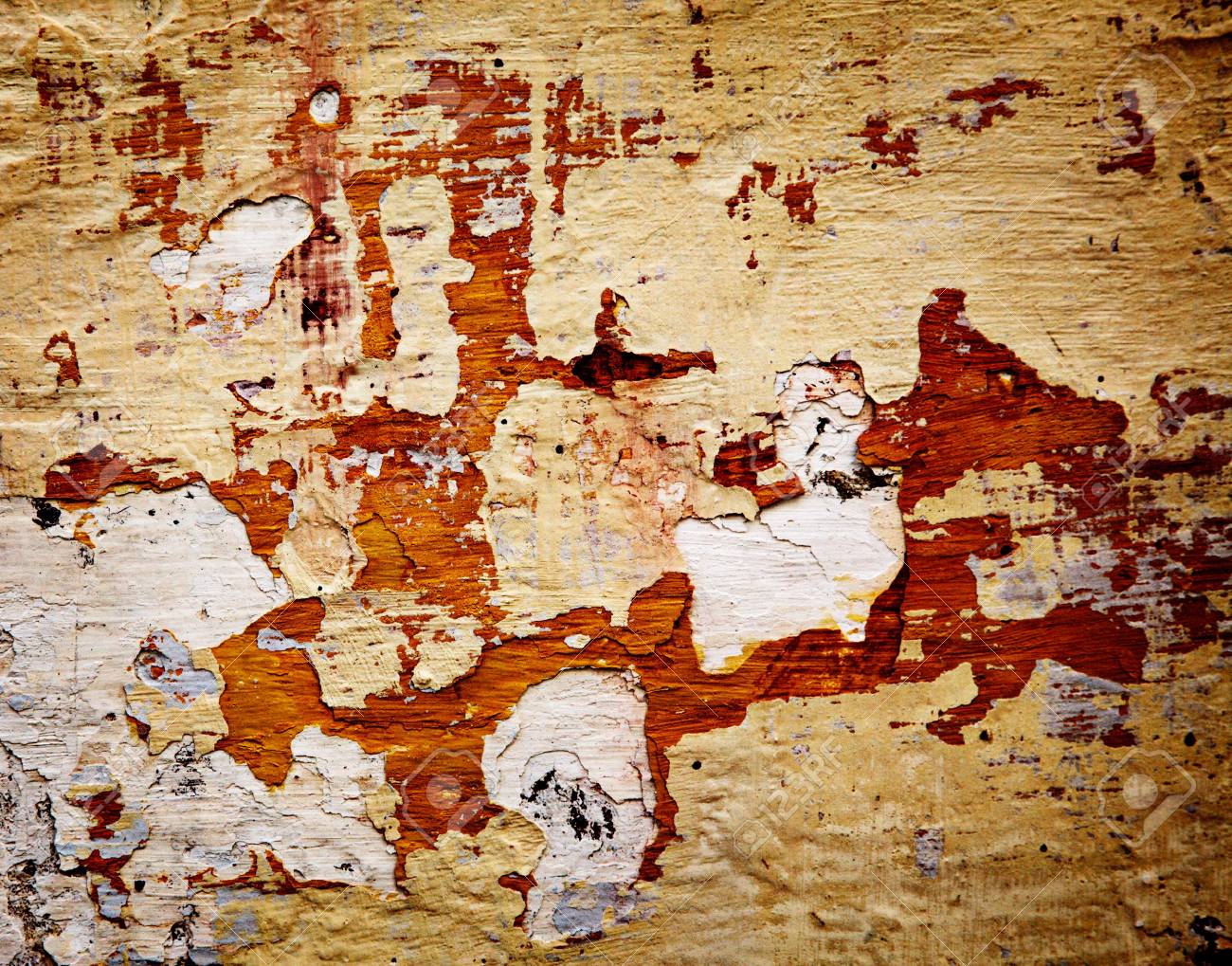 etiam-dictum-ipsum-a-felis