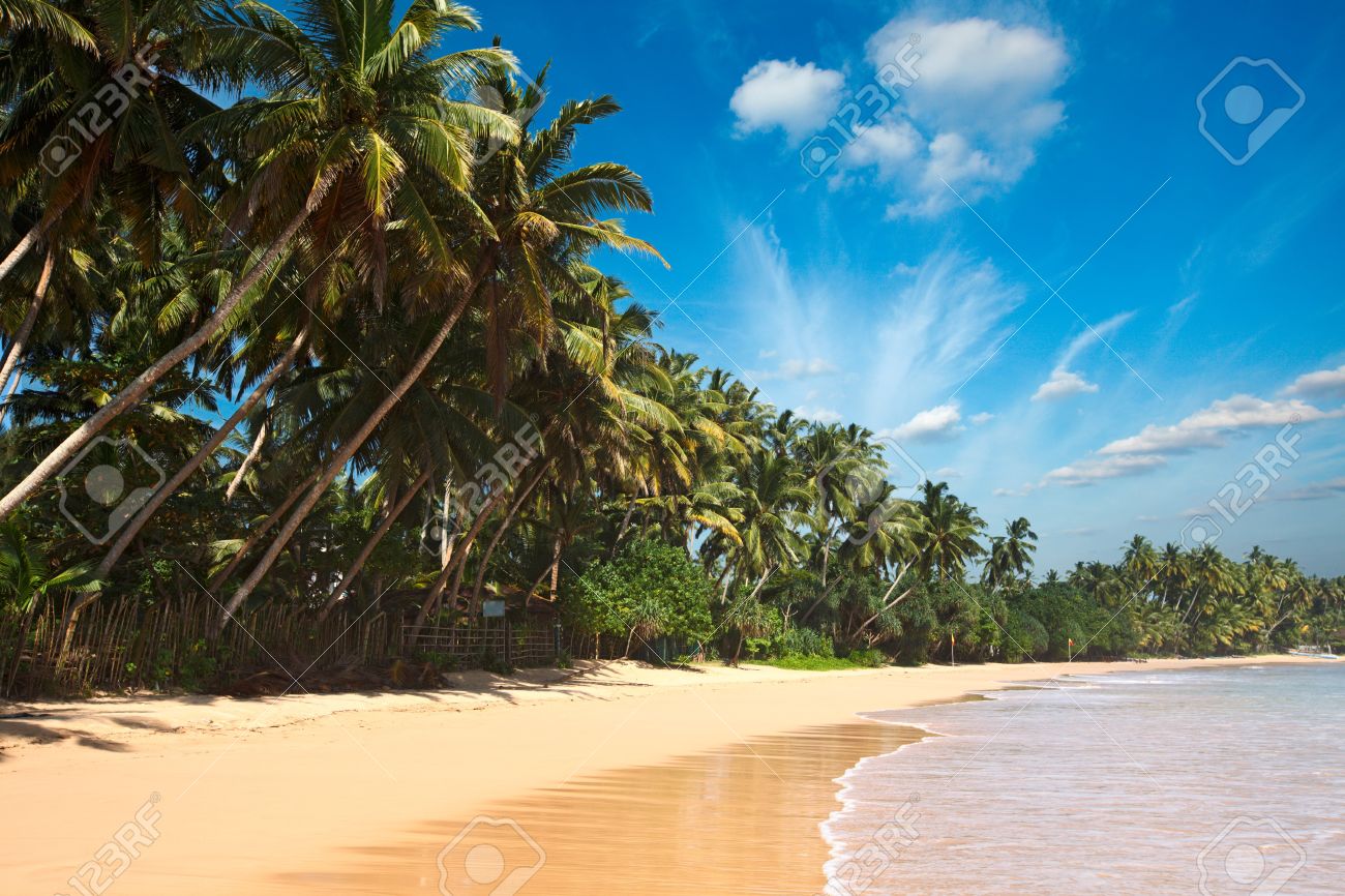 Tropical Paradise Idyllic Beach Sri Lanka