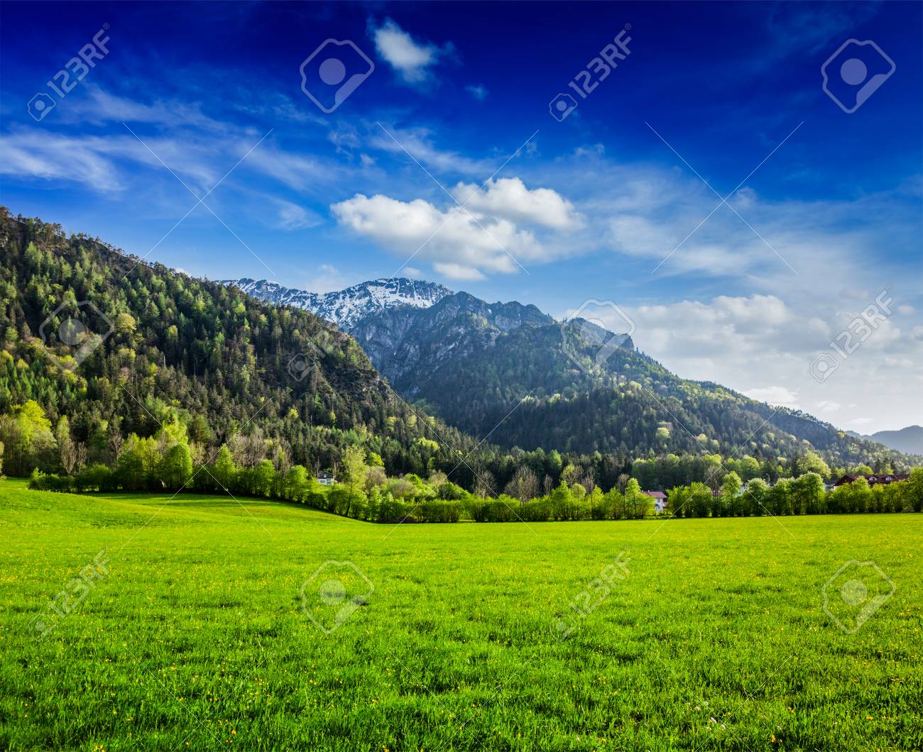 ドイツ バイエルン州の高山草原 の写真素材 画像素材 Image ドイツ バイエルン州の高山草原 の写真素材 画像素材 Image