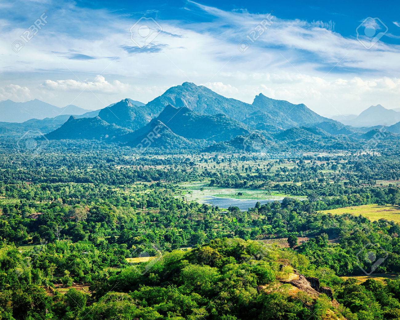Sri Lankan landscape - view form Sigiriya rock, Sri Lanka, - 52781472 Sri Lankan landscape - view form Sigiriya rock, Sri Lanka, - 52781472