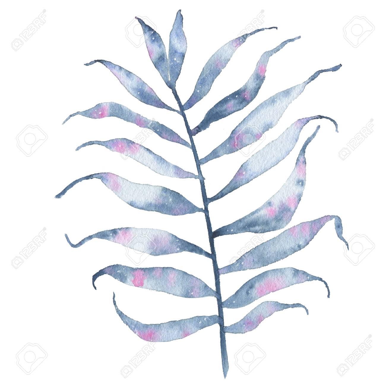 Watercolor Tropical Hand Painted Indigo Leaf Isolated On White Background Floral Illustration Botanical Art Stock Photo Picture And Royalty Free Image Image