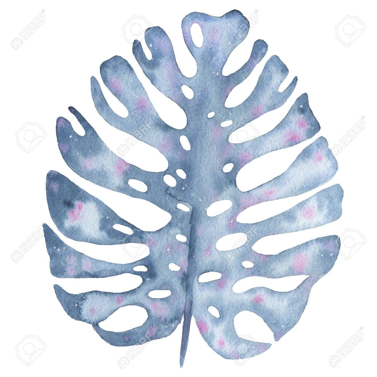 水彩トロピカル手描き藍パーム ツリー モンステラ リーフ白い背景で隔離の 花のイラスト ボタニカル アート の写真素材 画像素材 Image