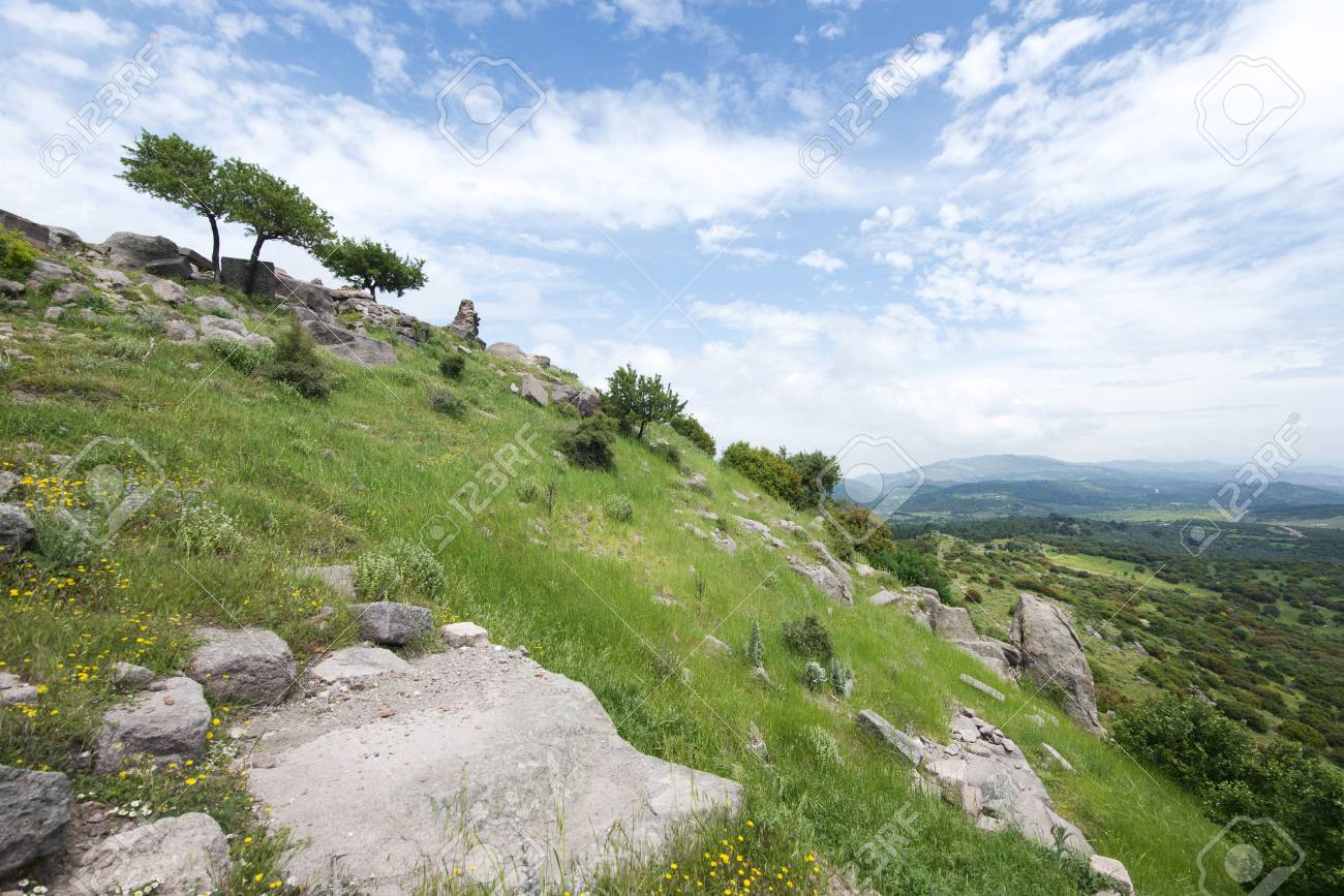 etiam-dictum-ipsum-a-felis