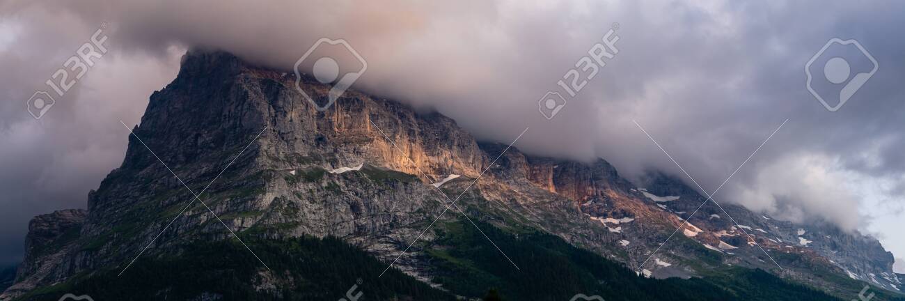 etiam-dictum-ipsum-a-felis