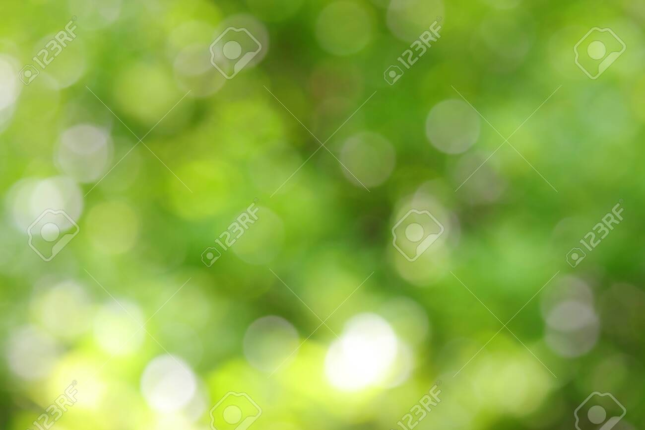 Natural Light And Blurred Green Colour Background Wallpaper Use For Photography Stock Photo, Picture And Royalty Free Image. Image 148434921. Natural Light And Blurred Green Colour Background Wallpaper Use For Photography Stock Photo, Picture And Royalty Free Image. Image 148434921.