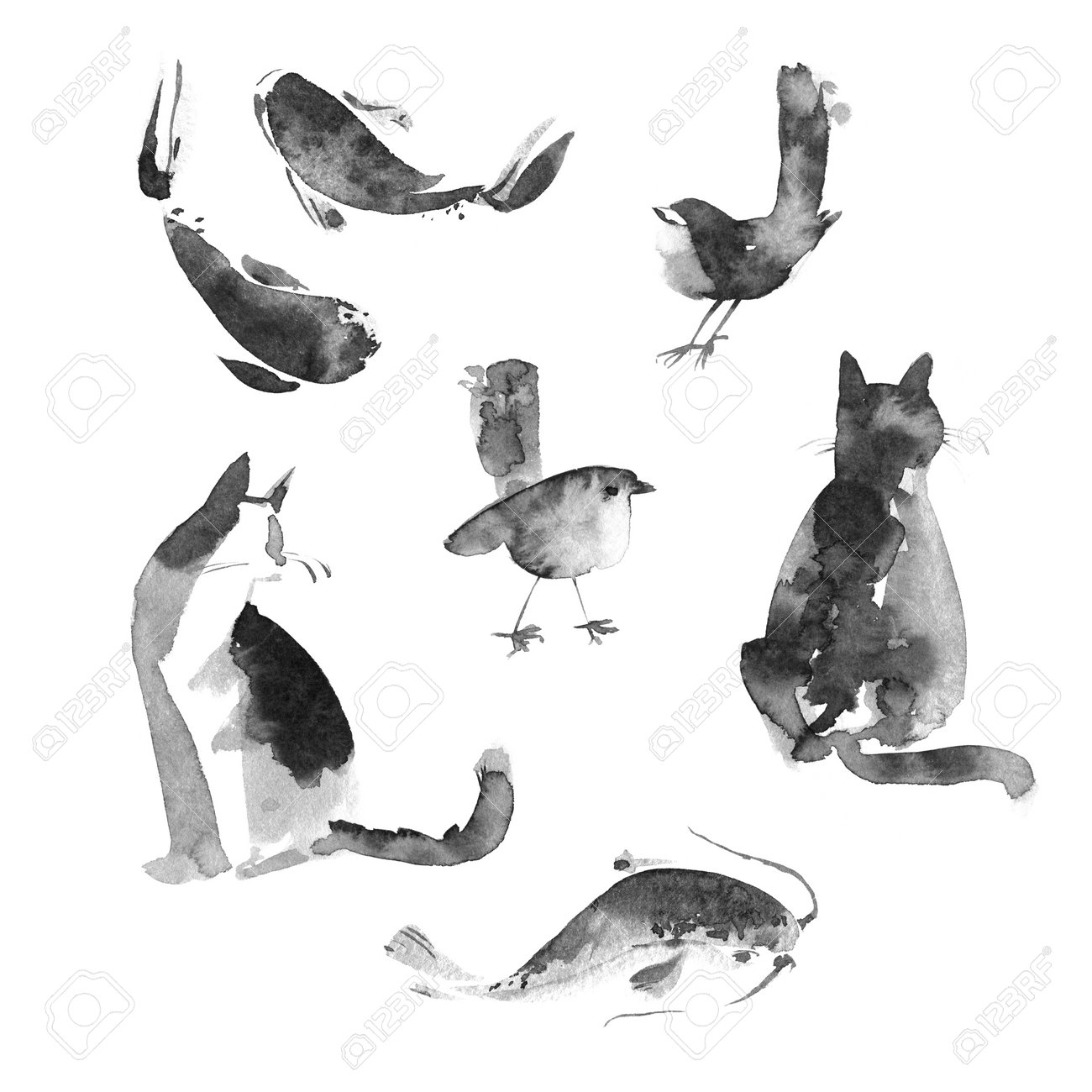 水墨画の動物。猫、魚、鳥。美しい手描きイラストの写真素材