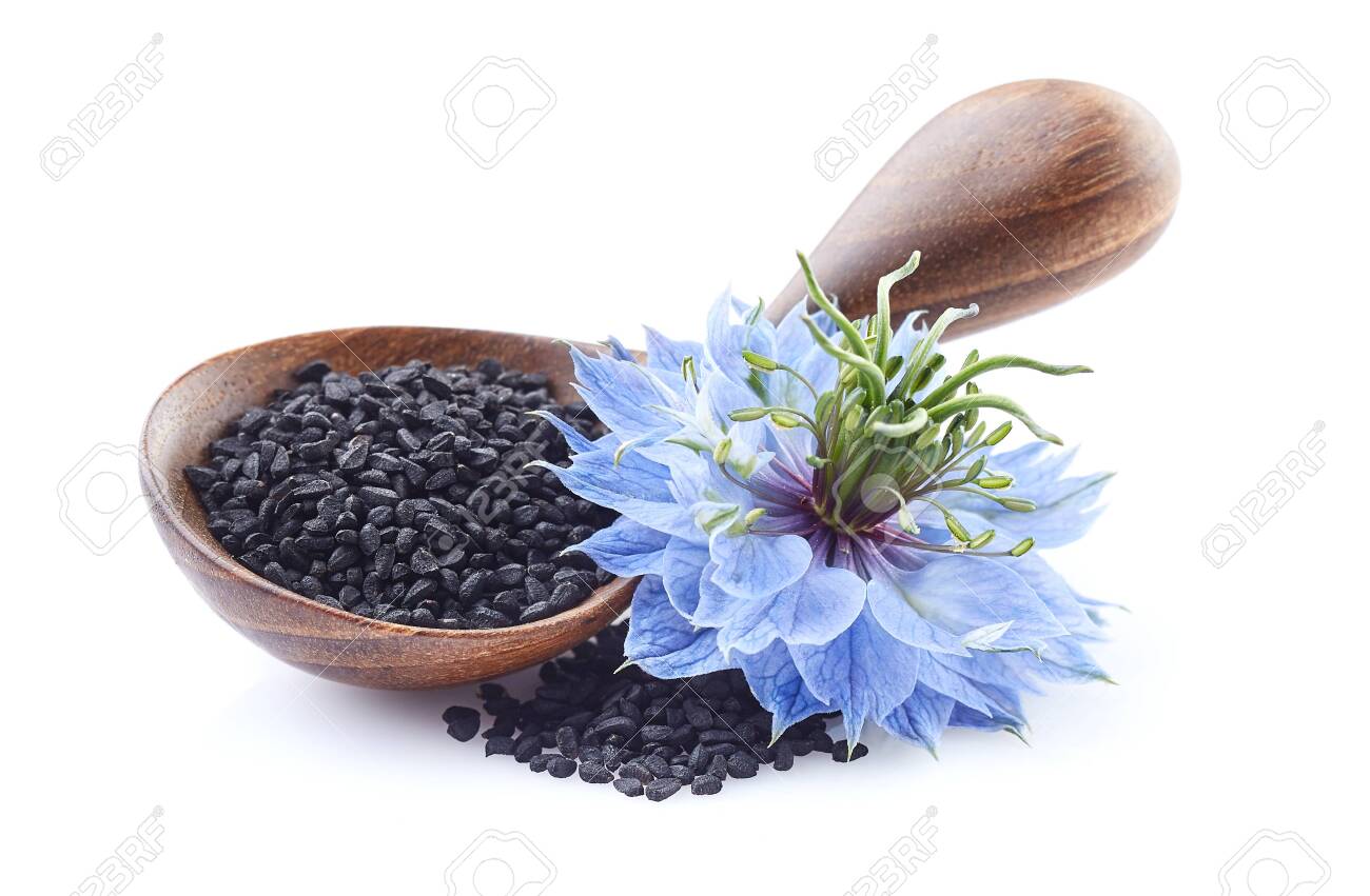 Black Cumin Seeds With Nigella Sativa Flower On White Background Stock Photo, Picture and Royalty Free Image. Image 151120368.