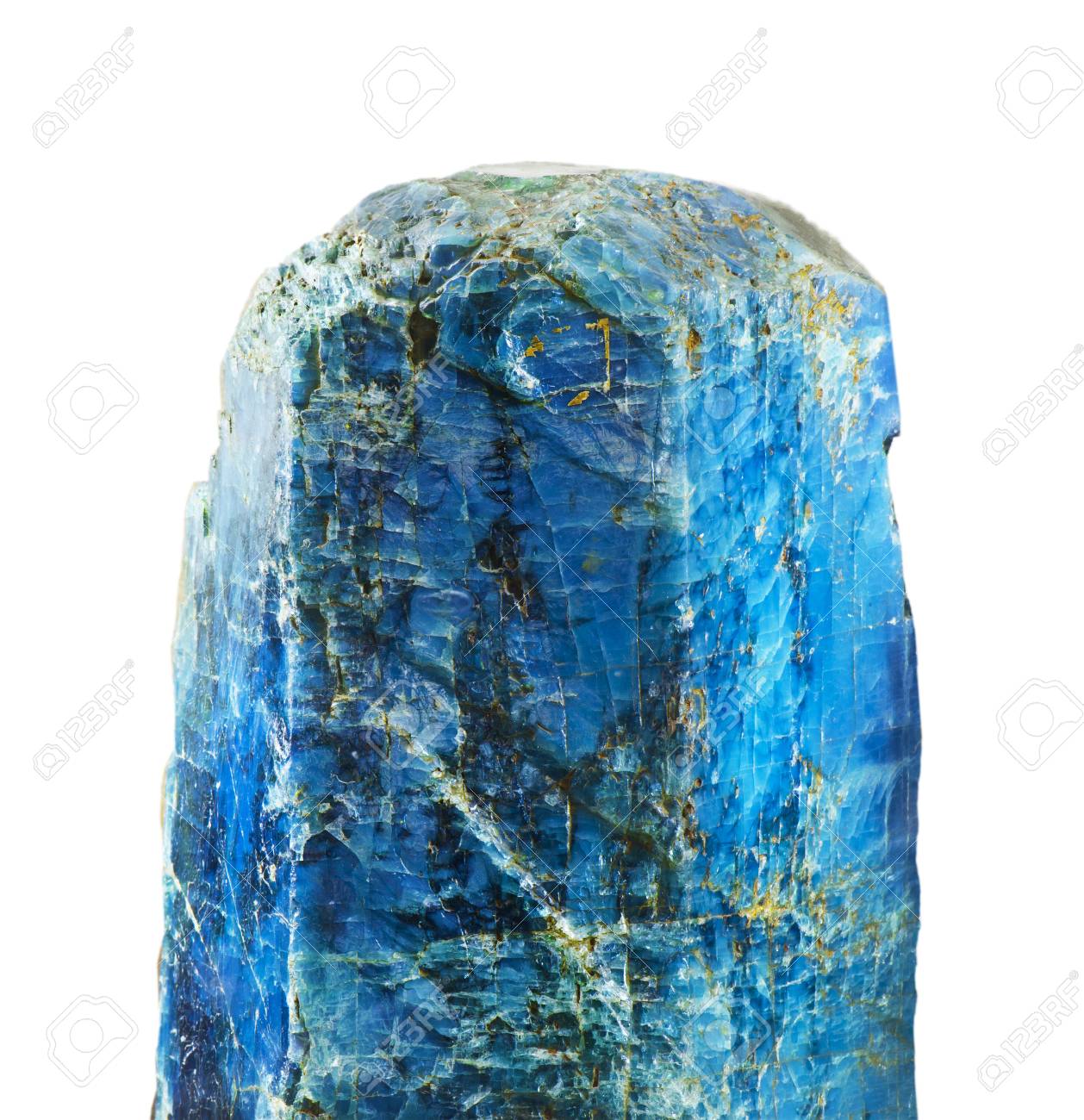 etiam-dictum-ipsum-a-felis