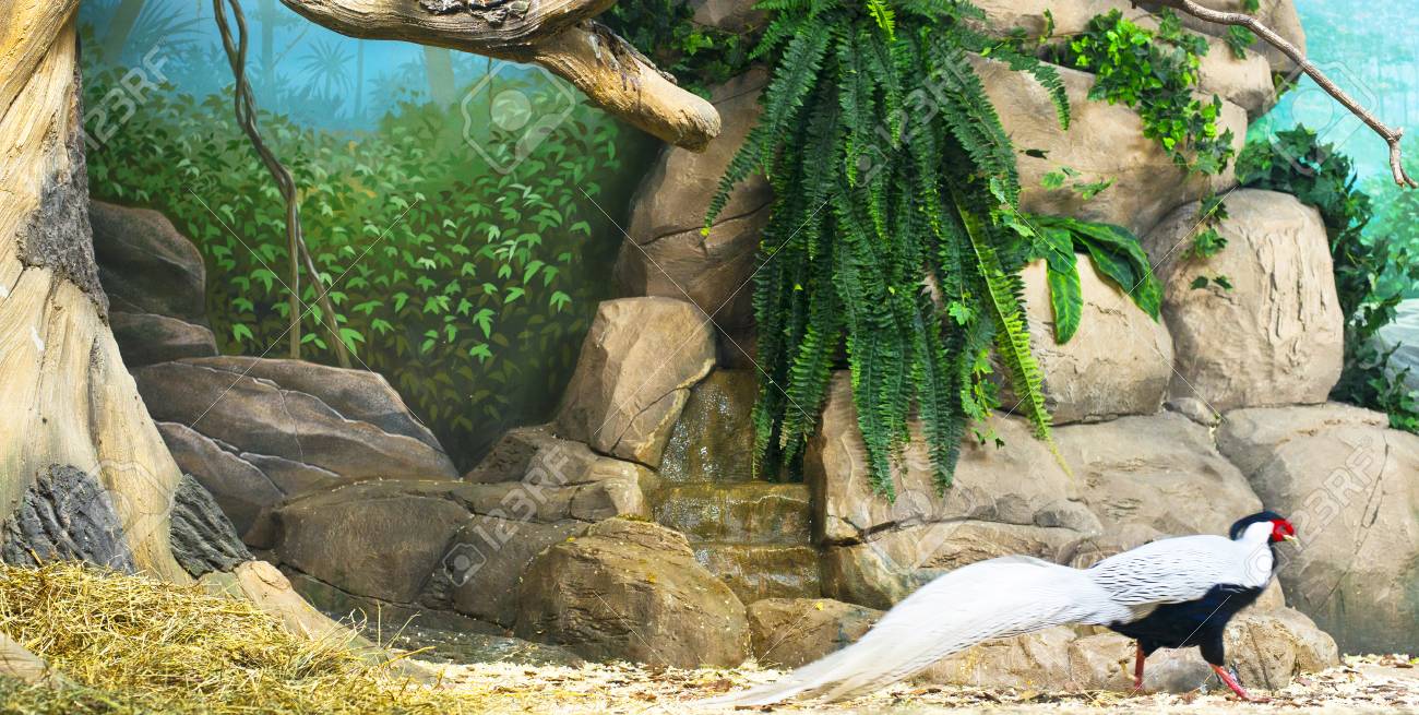 etiam-dictum-ipsum-a-felis