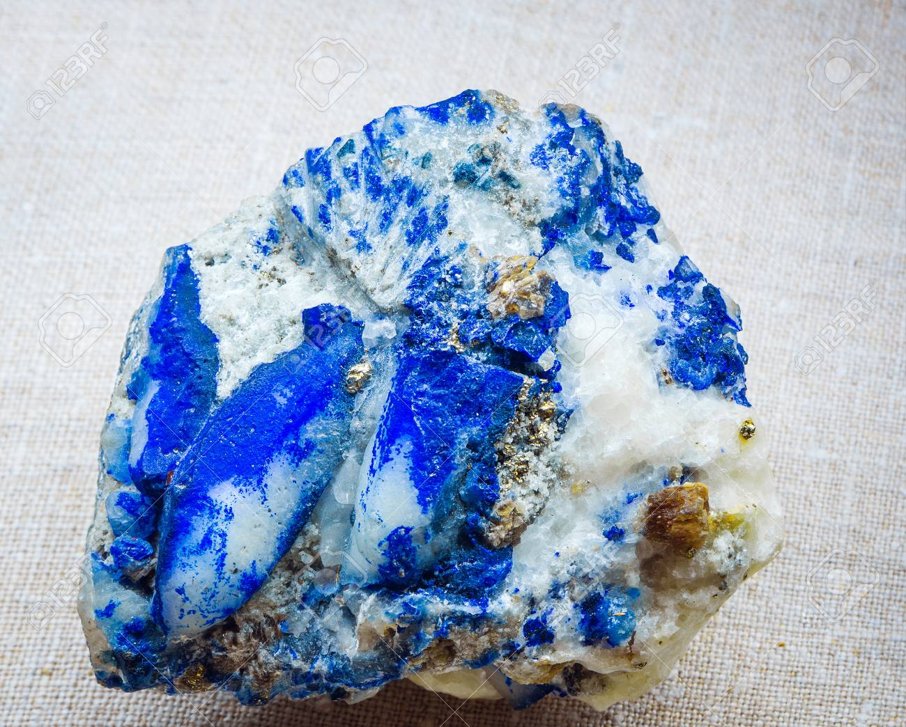 etiam-dictum-ipsum-a-felis