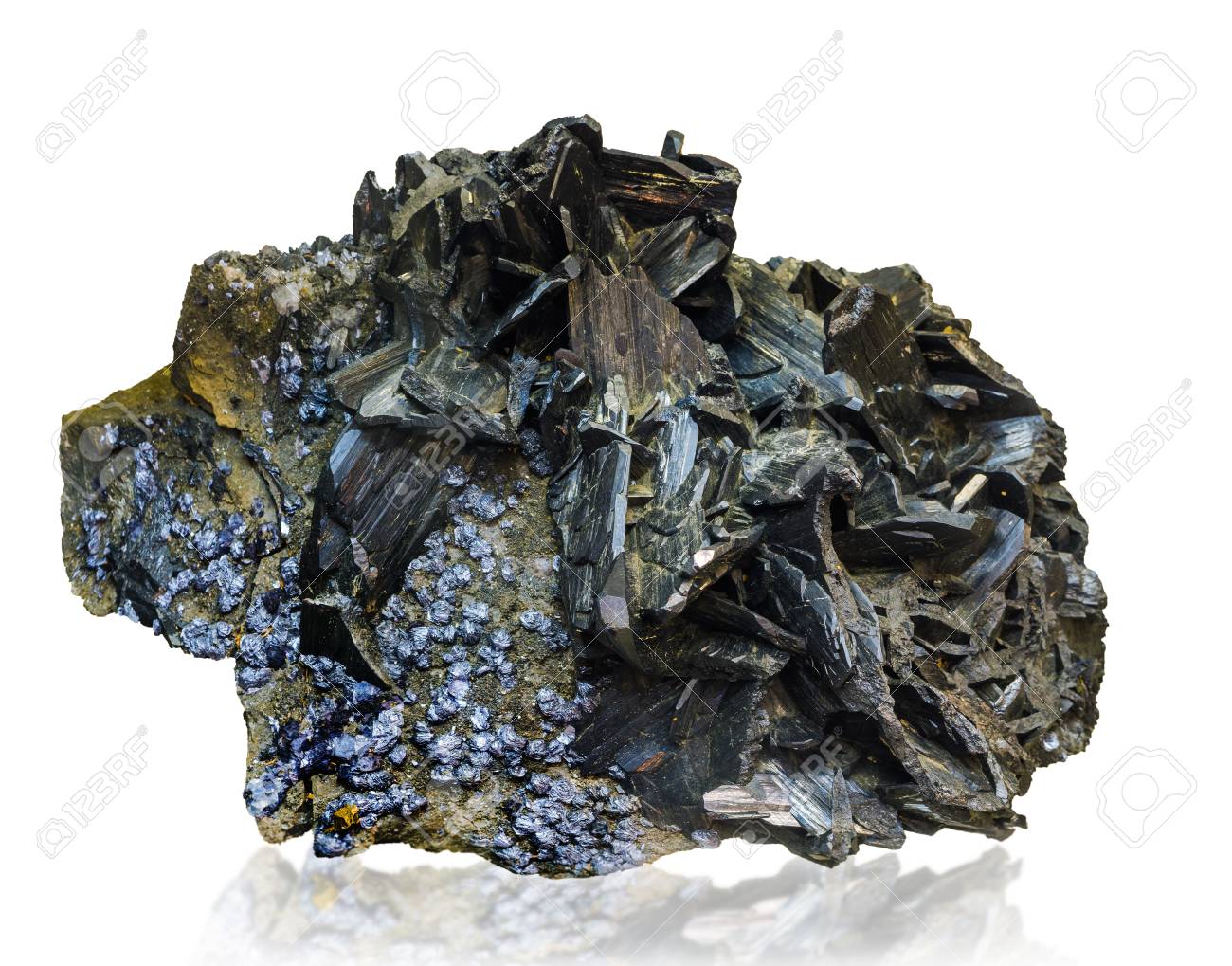 etiam-dictum-ipsum-a-felis