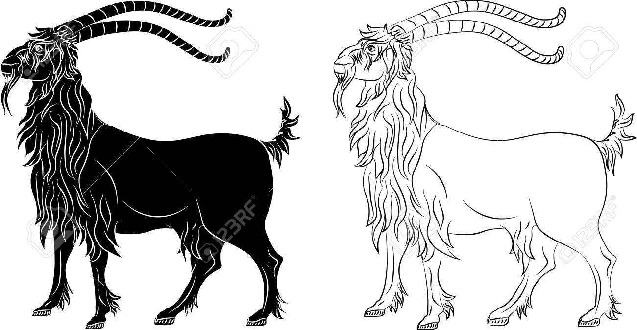 mountain goat capra black silhouette and outline vector illustration royalty free cliparts vectors and stock illustration image 105359365 mountain goat capra black silhouette and outline vector illustration