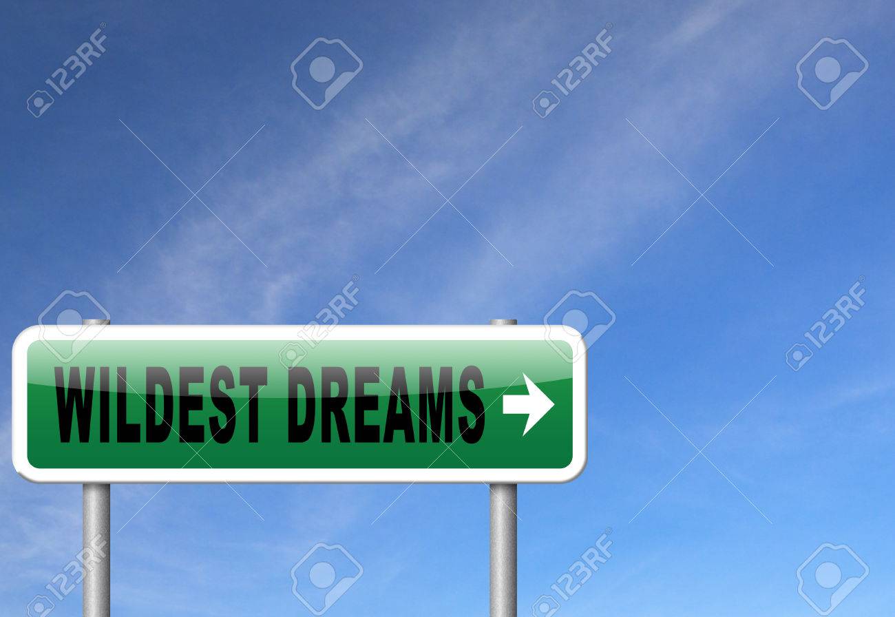 Sueños Más Salvajes Hacen Realidad Los Sueños Realidad Su Ambición - 