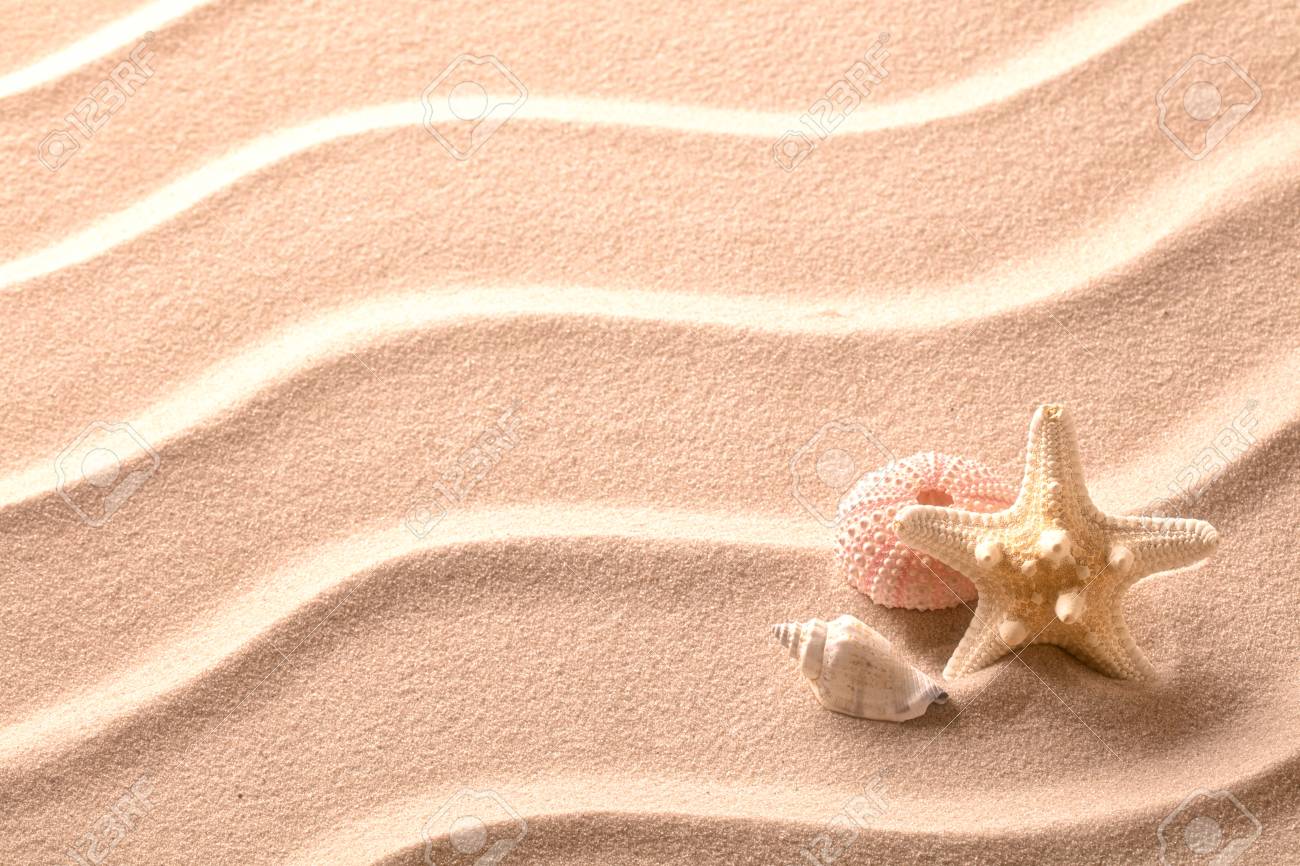 砂浜で Rippples 背景の海の貝殻やヒトデを持つテクスチャー の写真素材 画像素材 Image