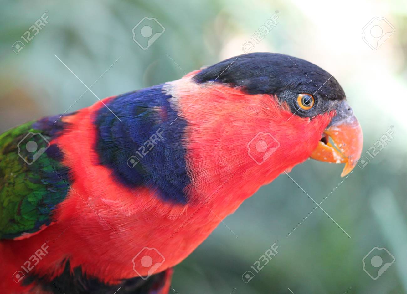 etiam-dictum-ipsum-a-felis