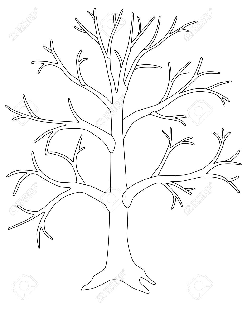 3,272 Tree Without Leaves Drawing Images, Stock Photos & Vectors |  Shutterstock