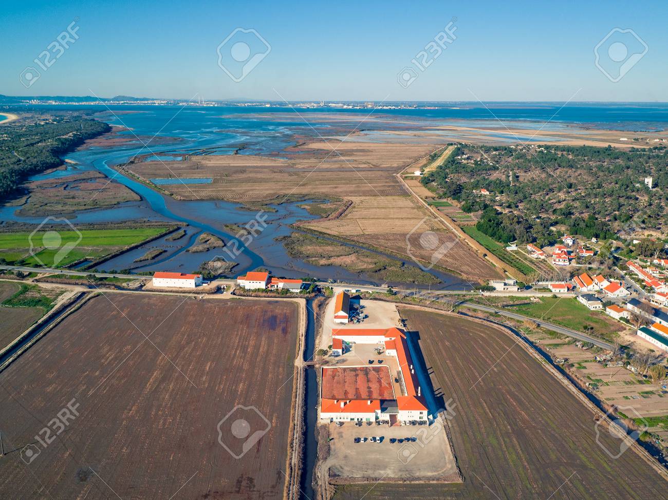 etiam-dictum-ipsum-a-felis