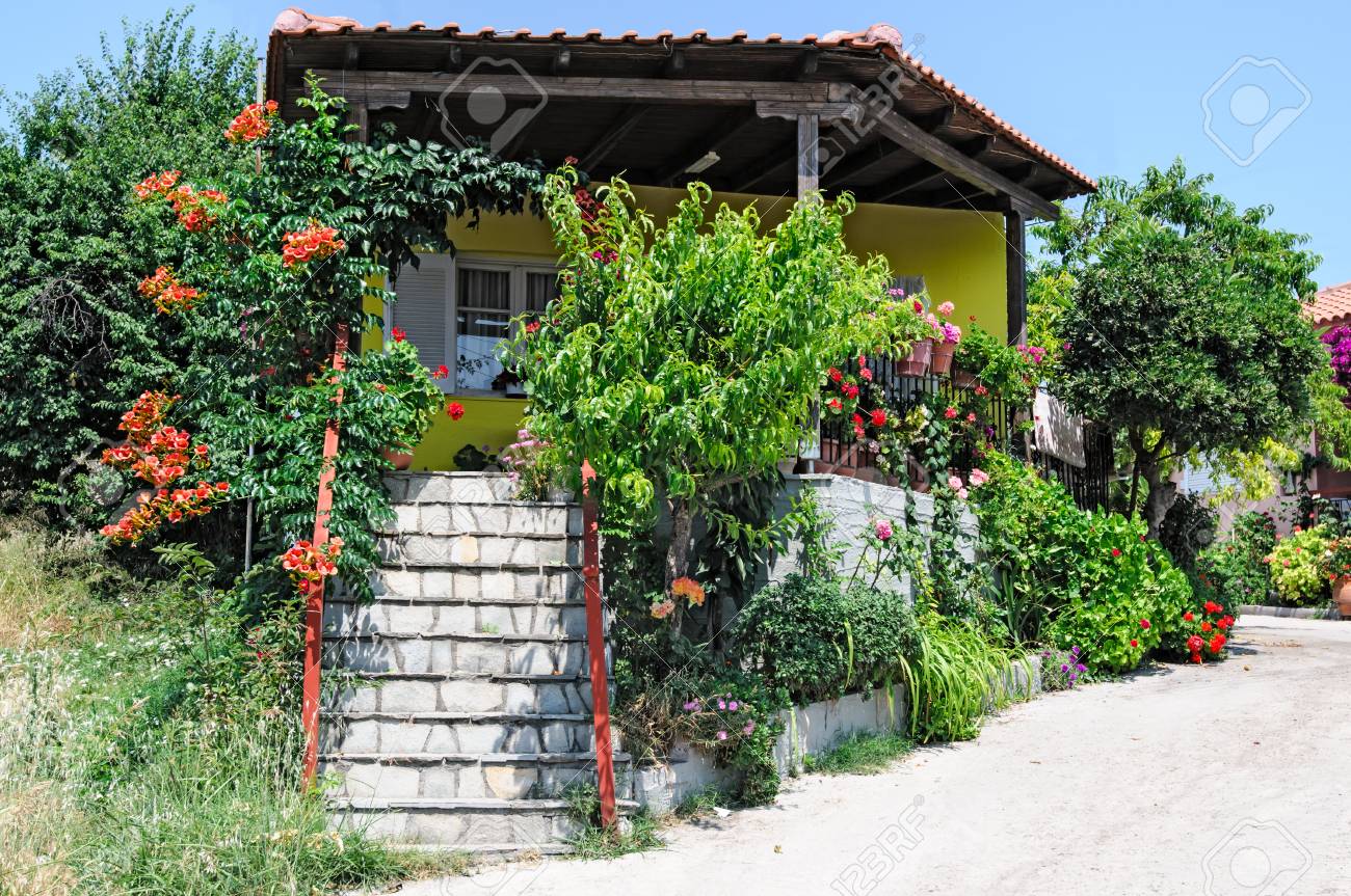 Colorful plants and flowers outside a house