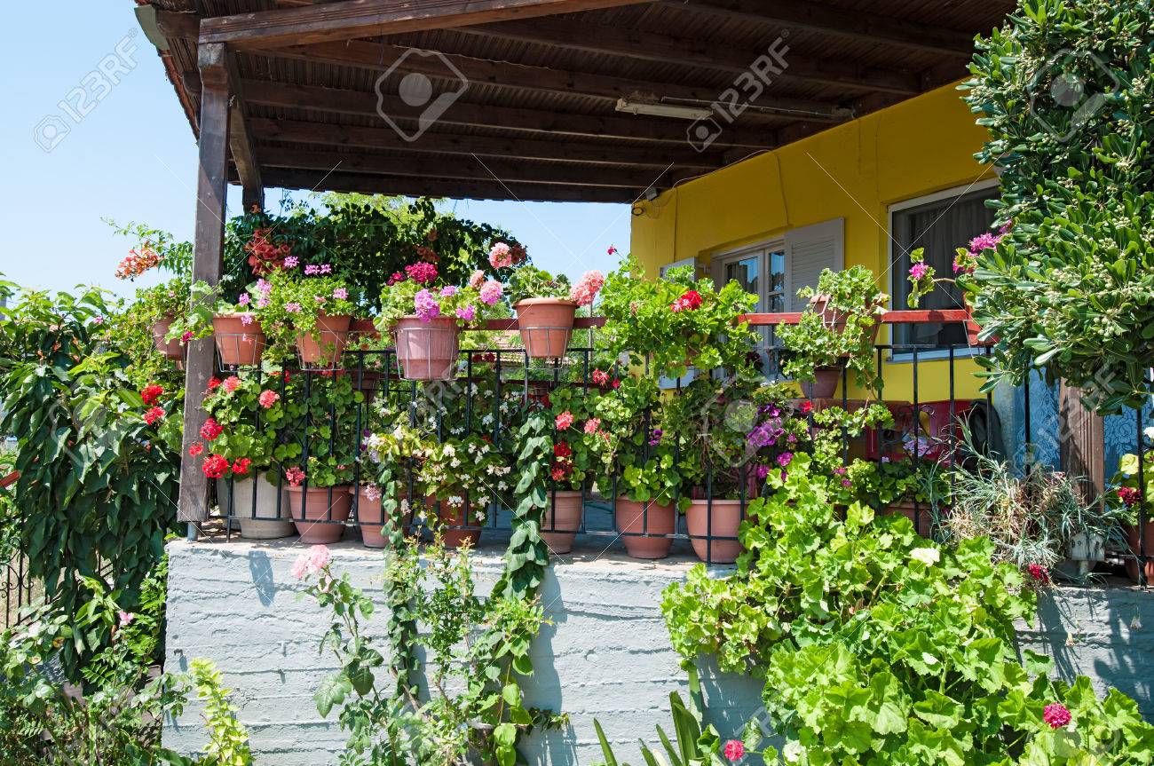 Colorful plants and flowers outside a house