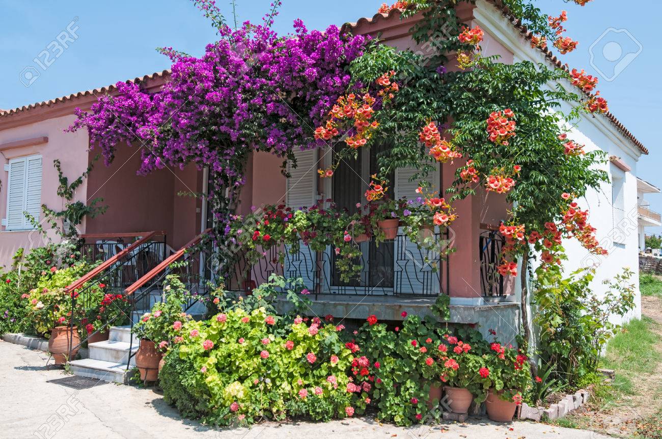 Colorful plants and flowers outside a house