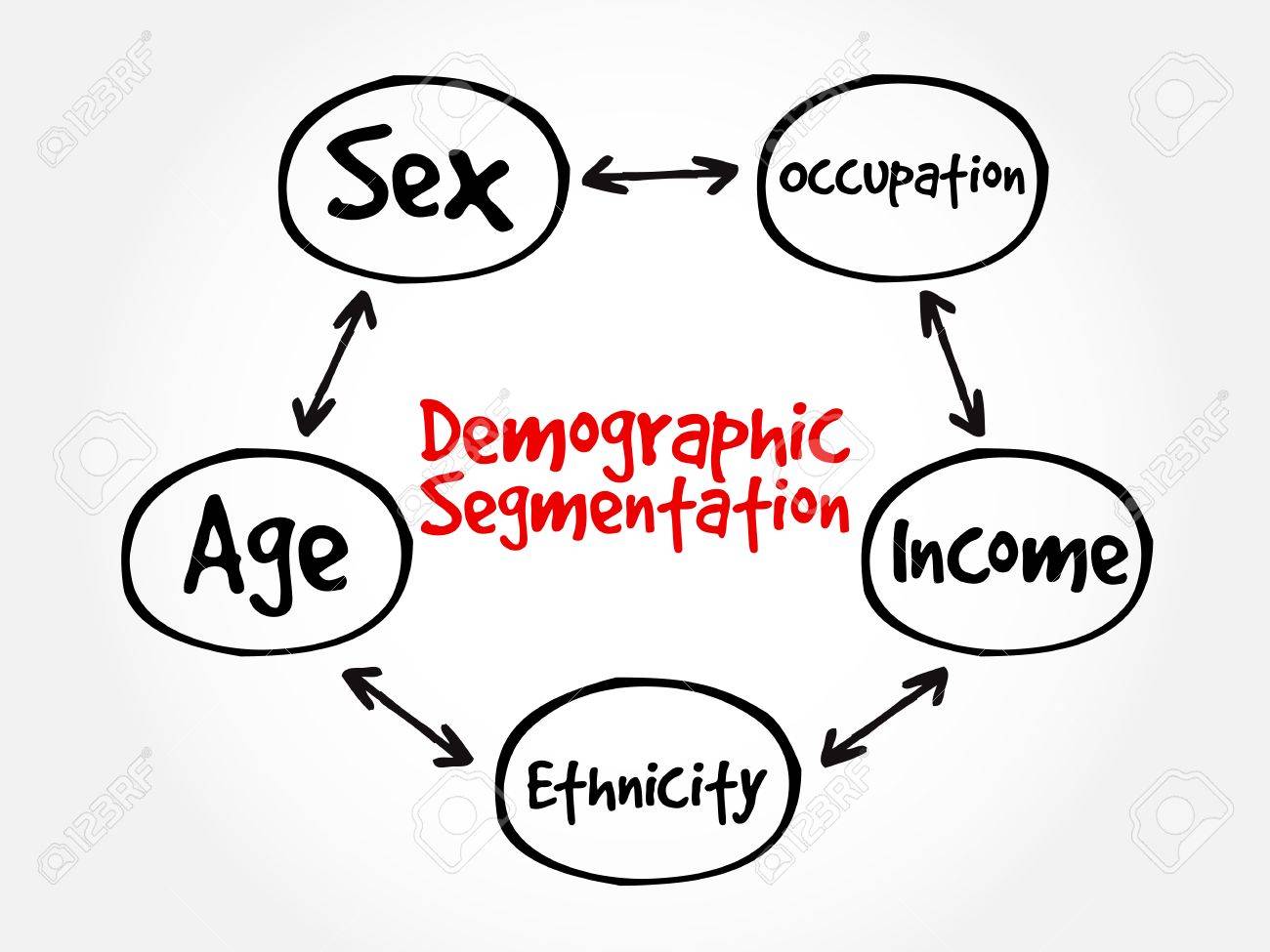 demographic segmentation