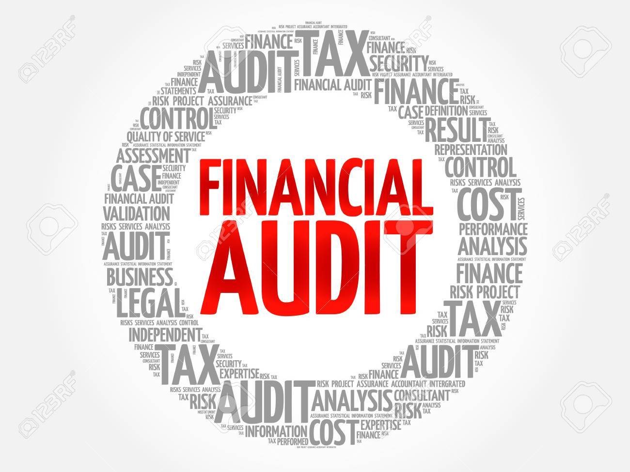 financial audit