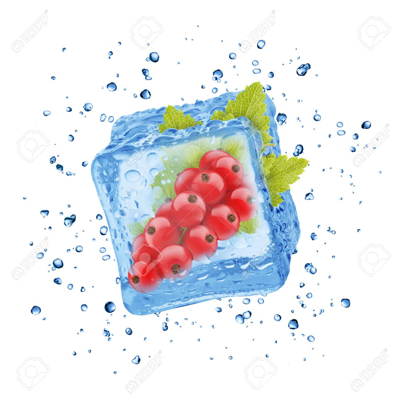 Closeup Red Currant In Ice Cube Stock Picture And Royalty