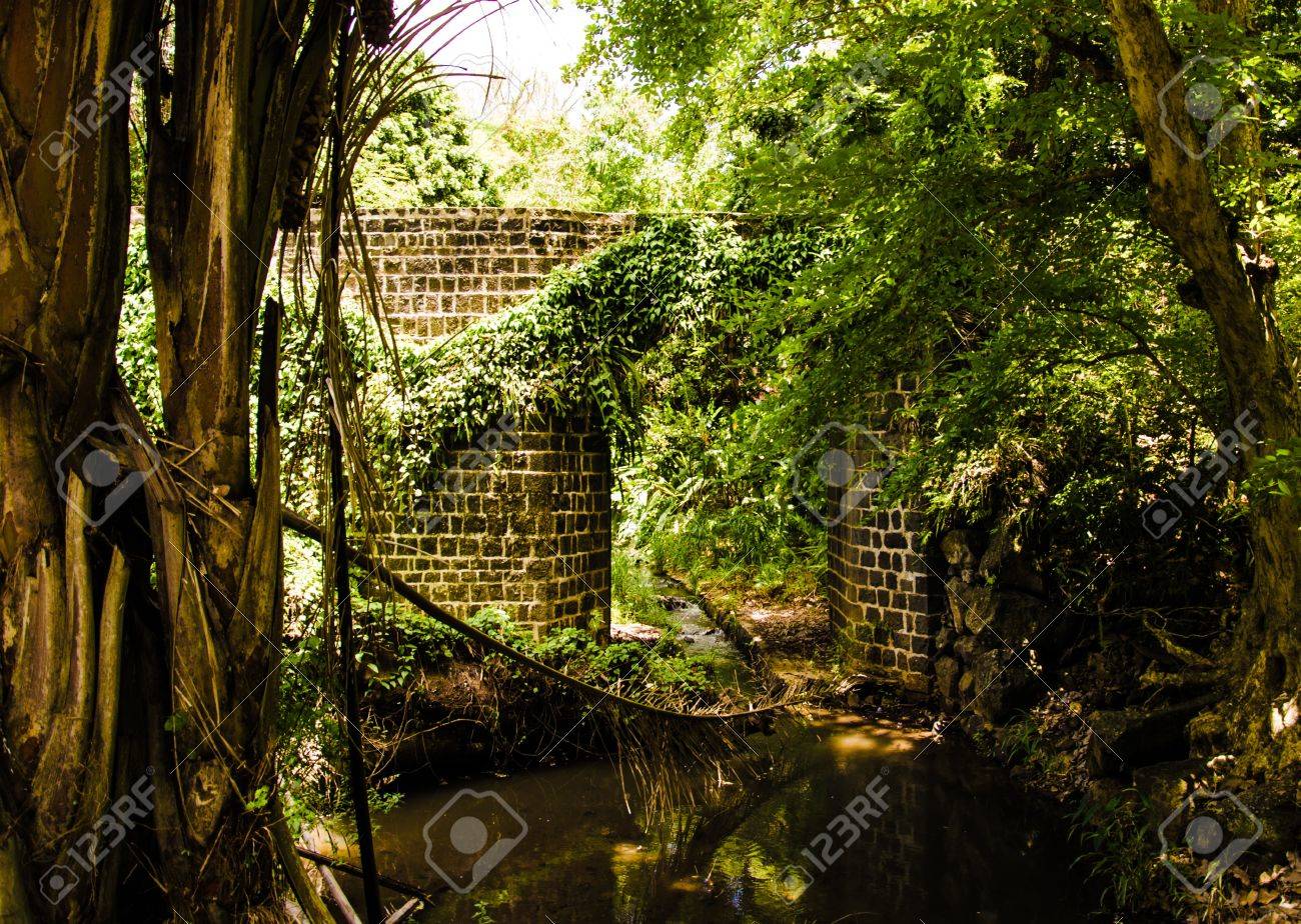 etiam-dictum-ipsum-a-felis