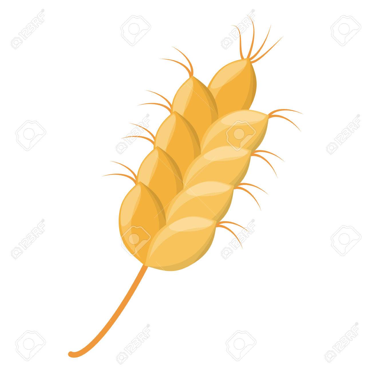 Wheat Cereal Barley Vector Illustration Graphic Design Icon Royalty Free  SVG, Cliparts, Vectors, and Stock Illustration. Image 79889666., image size:1300x1300